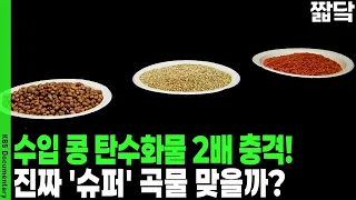렌틸콩 수입 33배 폭증할 때 국산 잡곡 가격 30% 폭락한 이유 | KBS 취재파일 K 20160320 방송