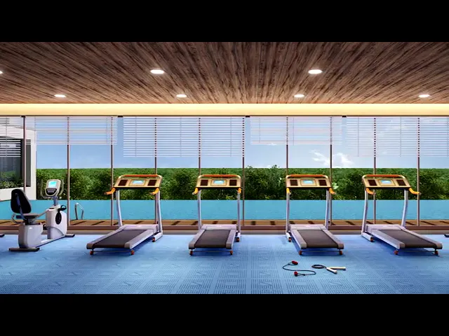 Project Video