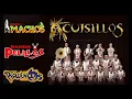 Download Lagu Machos, Cuisillos, Pequeños Musical, Maguey 💃 Bandas Viejitas Pero Bonitas Mix