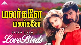 malargale malargale love birds prabhu deva nagma a r rahman