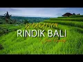 Download Lagu Gambelan Rindik Bali di Iringi Kicauan Burung dan Gemericik Air