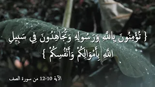 يا ايها الذين أمنوا هل ادلكم على تجارة تنجيكم من عذاب أليم   القارئ رعد الكردى    التفسير بالوصف دندنها