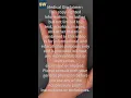 For Fatigue Boost Energy Qi or Tiredness - Hand Acupuncture Self Acupressure