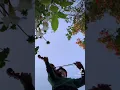 Double Take - Dhruv Violin Cover #shorts