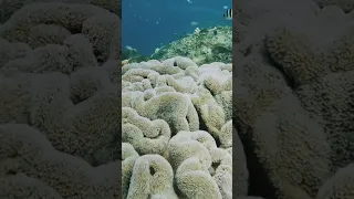 #BOATLIFE in an Atomic Bomb Site