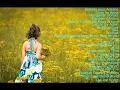 Ballade pour Adeline,Song for Anna,Mariage d'Amour,Hungarian Sonata...