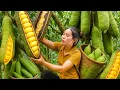 Download Lagu Cosecha semillas baratas, frutas naturales, lleva al mercado para vender con madre soltera