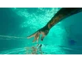Download Lagu GoPro Awards: 3 Years in 3 Minutes (Music Video) - People the Kangaroo