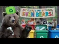 Recycling Is for Everyone, Even Bears