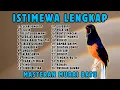 Download Lagu 🔴 KOMBINASI LENGKAP‼️ MASTERAN MURAI BATU GACOR ISIAN PALING LENGKAP