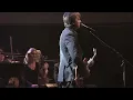 Neil Finn - One Step Ahead (live with strings, Auckland 2015)