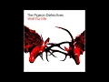 Romantic Type - The Pigeon Detectives - From the 2007 Album - 'Wait For Me'