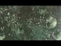 Stimming x Lambert - Child's Play (Piano Vision) (Visualiser)