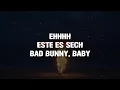 Ignorantes-Bad Bunny x Sech ( letra )
