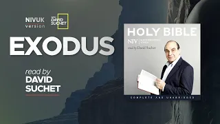 The Complete Holy Bible - NIVUK Bible