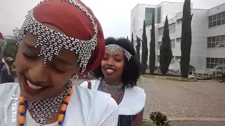 Ijollee Babbaredduu Oromoo Haalaan Namatti Tolti 