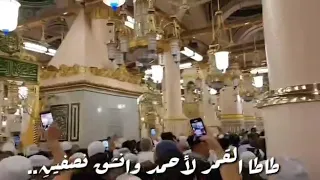صل وا على الزين إنشاد الشيخ مصطفى شاذلي 
