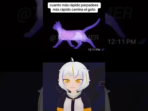 Cuanto Mas Rapido Parpadees Mas Rapido se Mueve el Gato