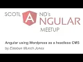 Angular using Wordpress as a headless CMS
