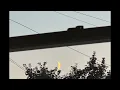 Catching Flies - WORRY. [Official Audio]