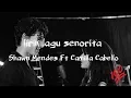 Download Lagu Lirik Lagu Señorita - Shawn Mendes Ft Camilla Cabello #18