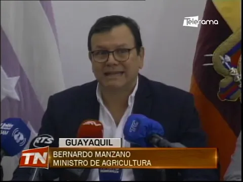 Sancionarán a exportadores que no respeten el precio de la caja de banano
