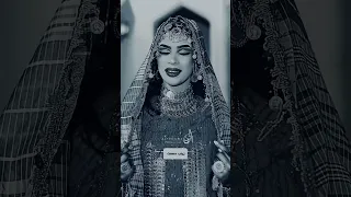 زواج ايلاف عبد العزيز       أغنيه نصر دندنها