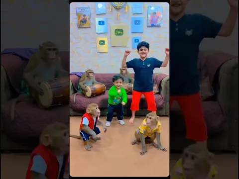 Monkey dance #shorts #shortvideo #monkey #trending #shaheerjutt