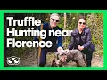 Tripadvisor Insider Truffle Hunting near Florence Italy