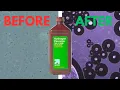 Hydrogen peroxide vs Germs under the Microscope