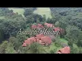 Evie Tamala - Asma'ul Husna (Official Video Clip)