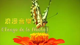 Download 《Tango de la Noche  夜探戈》浪漫抒情音樂 | 輕鬆音樂 | 多巴胺分泌音樂 | 美麗迷人音樂 MP3