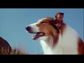 Lagu Lassie - The Miracle (1970) -  full TV movie