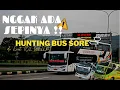Download Lagu Hunting Bus SORE di Prempatan Adsense Weleri. FULL Bis Gak ADA HABISNYA, RAME POLL ‼️🔥