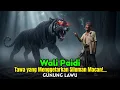 Download Lagu Tawa Wali Paidi Menggetarkan Siluman Macan Gunung Lawu!