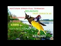 Lagu MASTERAN ANIS KEMBANG DAN KENARI DENGAN JEDA GEMERICIK AIR SELAMA 1 MENIT SUARA JERNIH