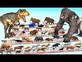 Lagu The Ultimate Battle 44 Wild Animals vs GIGA T-REX Dinosaur Epic Run Zigzag Down Course! Arbs tv
