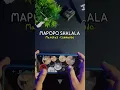 Download Lagu DJ MAPOPO SHALALA VIRAL TIKTOK #realdrum #shorts