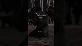 الطفل القارئ عبدالله شعبان 