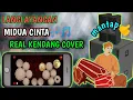 Download Lagu ASIK BENER!!COVER LAGU MIDUA CINTA PAKE REAL KENDANG