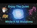 Everything is Happening in The Quiet