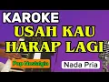 Download Lagu Karoke || USAH KAU HARAP LAGI || Nada Pria || Pop Nostalgia || The Mercy's