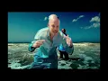 Residente & Bad Bunny   Bellacoso