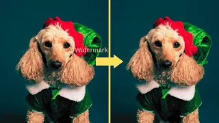 Remove Text and Watermarks from Photos for Free with LunaPic