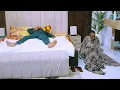 Download Lagu I Beg Every Wife To Be 2 Watch This Movie \u0026 Learn A Big Life Lesson Today - Nigerian Movies