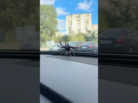 🕷️ залез в машину