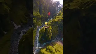 عيشي حياتك نبسطي 