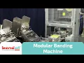 Download Lagu Longford Automatic Counting and Banding System