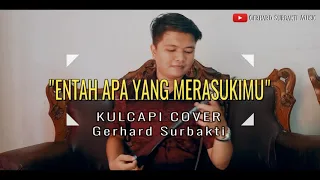 Download LAGU VIRAL ENTAH APA YANG MERASUKIMU KULCAPI KARO COVER MP3