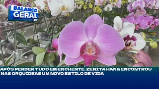 Alto Vale: após perder tudo em enchente, Zenita Hang encontrou nas orquídeas um novo estilo de vida